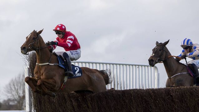 Double Up for Mullins and Townend 