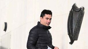 Twin brothers plead guilty to manslaughter of Romanian man in south Dublin