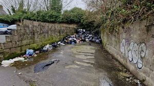 Athy area is 'a wreck' due to illegal dumping