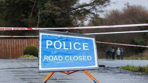 Taoiseach 'threw Defence Forces under bus' with comments after Crotty case