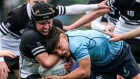 Leinster quarter-final exit for Newbridge College
