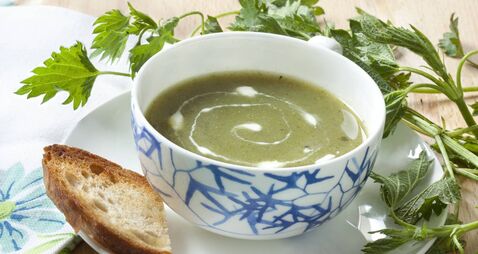 Living Greener: Nettle plants are versatile and packed full of nutrients