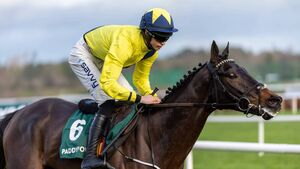 Marine Nationale ruled out of the Cheltenham Festival through injury