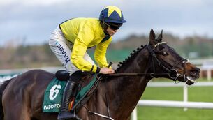<p>Marine Nationale will miss the Cheltenham Festival through injury. Photo: INPHO</p>