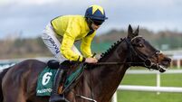 Marine Nationale ruled out of the Cheltenham Festival through injury