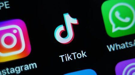 TikTok challenge to DPC privacy breach finding opens before High Court