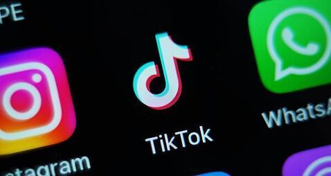 TikTok challenge to DPC privacy breach finding opens before High Court