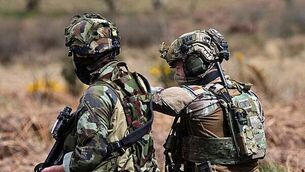 State of the art research into ‘mini brains’ at University of Galway State of the art research into ‘mini brains’ at University of Galway