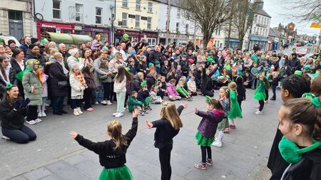 'Give Gaelige a go' in Kildare