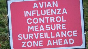 Housing, health, military: What does the National Development Plan mean for Govt spending?