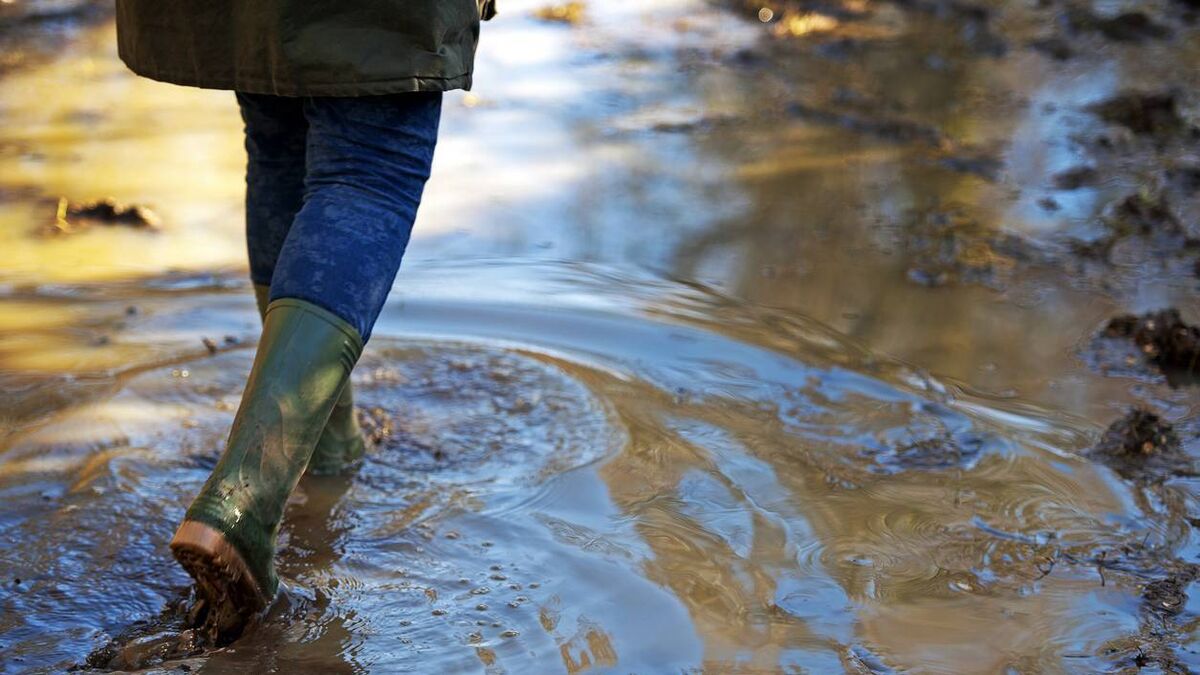 River gauges to provide flood risk info in Newbridge and Clane