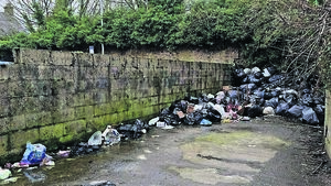 Council responds to illegal dumping in Athy 