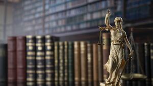 ‘Tourist’ guilty of stealing airfryer from store