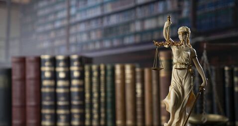 ‘Tourist’ guilty of stealing airfryer from store 