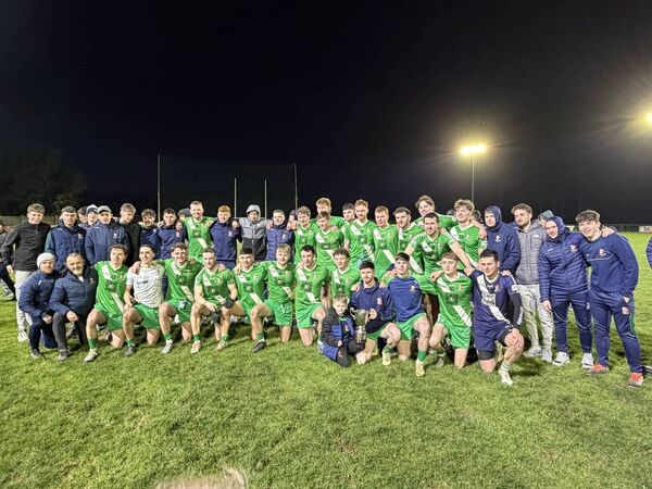 Sarsfields celebrate with the Aldridge Cup