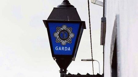 Gardaí appealing for information over criminal damage to trains in Westmeath