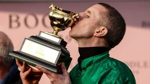 Walsh has a strong chance of flying start at Cheltenham