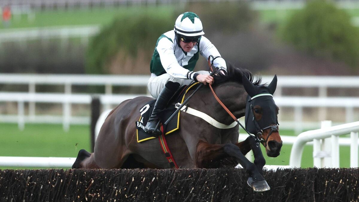 Chasing the Cheltenham dream