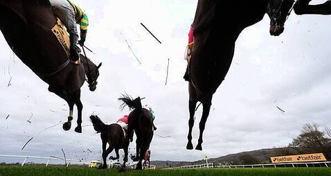 When is the Cheltenham Festival, where can you watch it and who will win it?