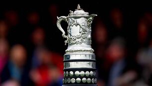 <p>The prestigious Bank of Ireland Leinster Towns Cup. Photo: INPHO/Tommy Dickson.</p>