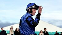 Doyle senses opportunities at Cheltenham
