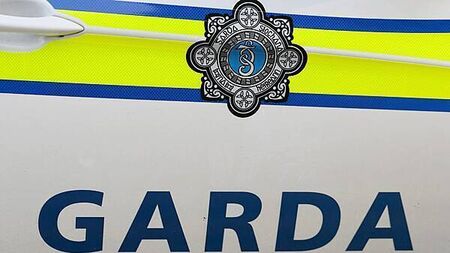 Two teenagers arrested by gardaí investigating serious assault in Dublin