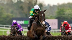 <p>Majborough is the favourite for the Chmapion Chase at Cheltenham today Photo: ©INPHO/Morgan Treacy</p>