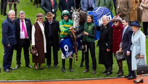 <p> Mark Walsh, Padraig Walsh and connections of Saratoga celebrate winning the McCoy Contractors Juvenile Handicap Hurdle at the Cheltenham Festival Photo: ©INPHO/Morgan Treacy</p>