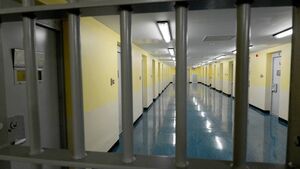 Man with 215 previous convictions is jailed