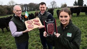 Two young people killed in separate crashes overnight