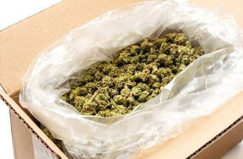 'I'm no Pablo Escobar': Kildare woman jailed for €73,000 delivery of cannabis