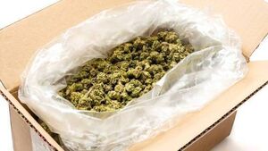 'I'm no Pablo Escobar': Kildare woman jailed for €73,000 delivery of cannabis