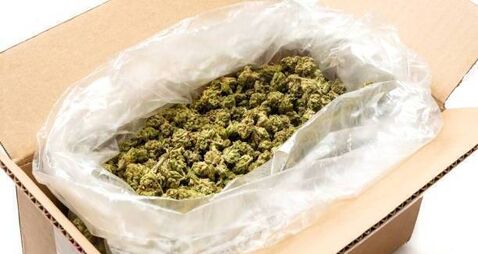 'I'm no Pablo Escobar': Kildare woman jailed for €73,000 delivery of cannabis 