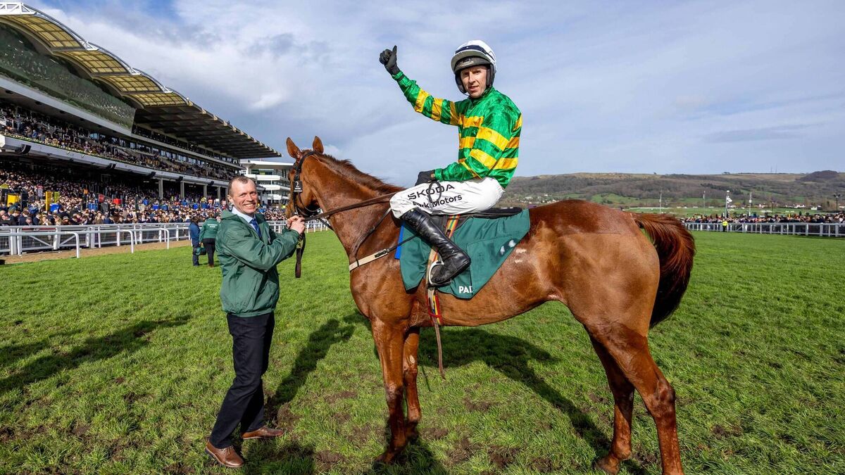 Cheltenham: Walsh wins as Dinoblue becomes first dual winner of the Grade Two Mares’ Chase