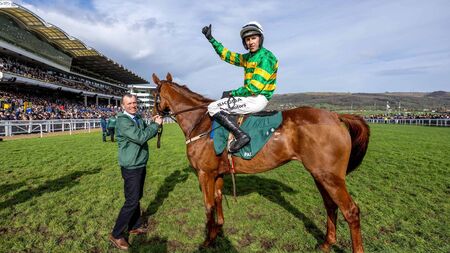 Cheltenham: Walsh wins as Dinoblue becomes first dual winner of the Grade Two Mares’ Chase