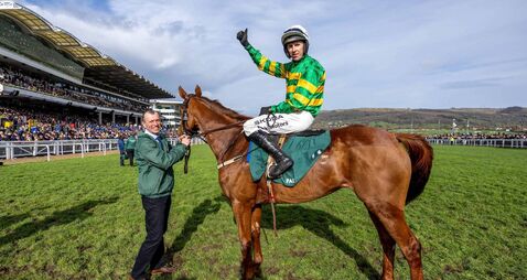 Cheltenham: Walsh wins as Dinoblue becomes first dual winner of the Grade Two Mares’ Chase