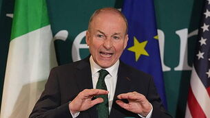 Man charged over animal cruelty incident in Dublin