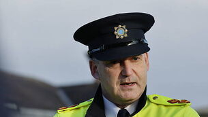 Former Limerick hurler tells High Court he was 'emasculated and mentally destroyed' by work injury