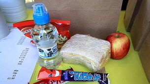 Inquiry into death of Pte Séan Rooney could take up to nine months