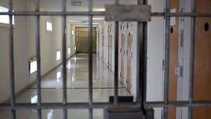 Government set to spend €600,000 on 'social farming model'