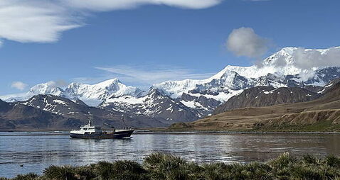 TD calls on Ireland to join Antarctic treaties