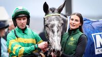 Diary of a Successful Cheltenham week for Saratoga’s groom Katie Young