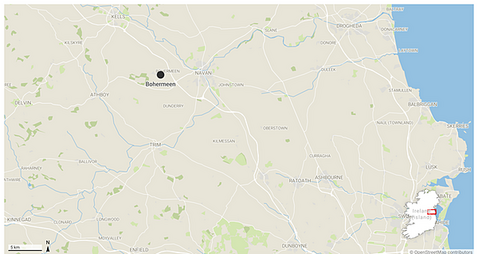 Judge refuses to pause orders allowing for demolition of Meath house