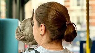 Man in 'complicated relationship' with married woman who he bit on buttocks is jailed