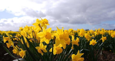 Cork woman urges breast cancer checks after surprise diagnosis
