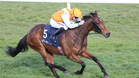 O’Brien’s dominate as flat racing returns to Naas