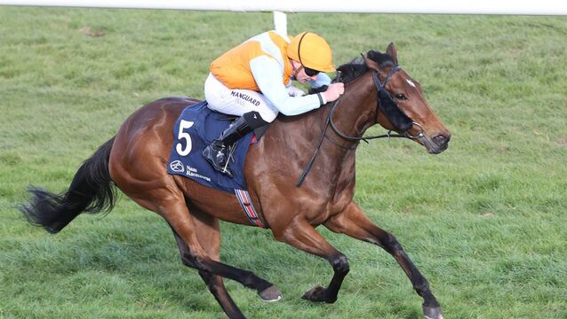 O’Brien’s dominate as flat racing returns to Naas