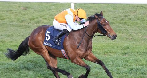 O’Brien’s dominate as flat racing returns to Naas