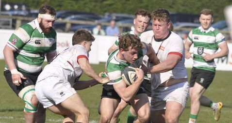 Naas salvage bonus-point in heavy home defeat to Dublin University