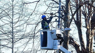 Luas Green Line will gradually resume full service from 6pm